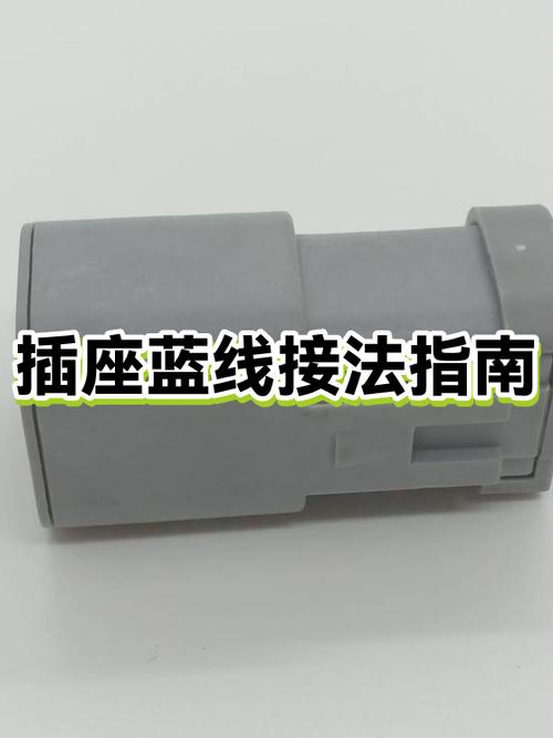 插座中蓝线应该接在哪里缩略图