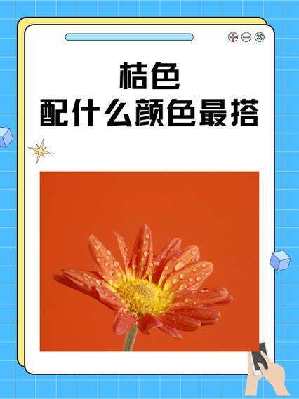 桔色官方旗舰店