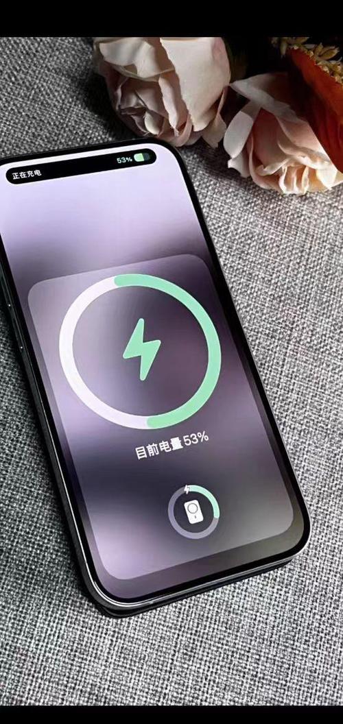 租借的充电宝充不上电游戏截图