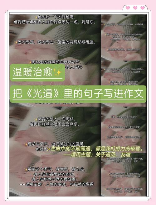 如何听懂光语