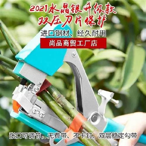 极速葡萄链接
