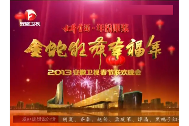 安徽卫视广告2013