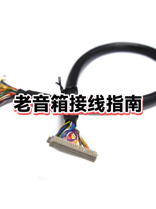 老式音箱后面的线怎么接