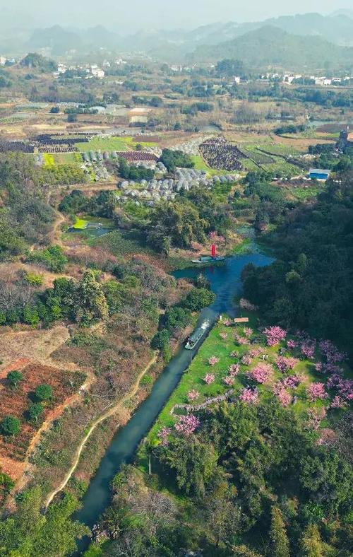 现实版的桃花源截图