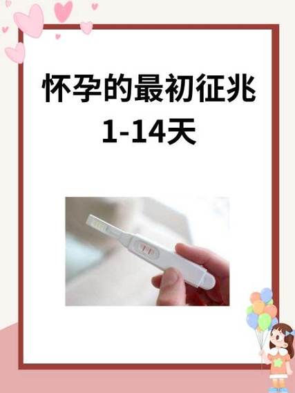 怀孕的最初征兆截图