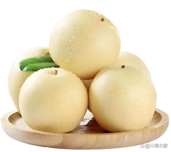 很面的梨子叫什么梨