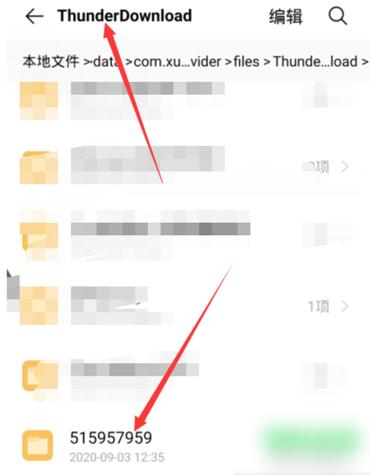 手机迅雷下载的文件怎么保存到手机