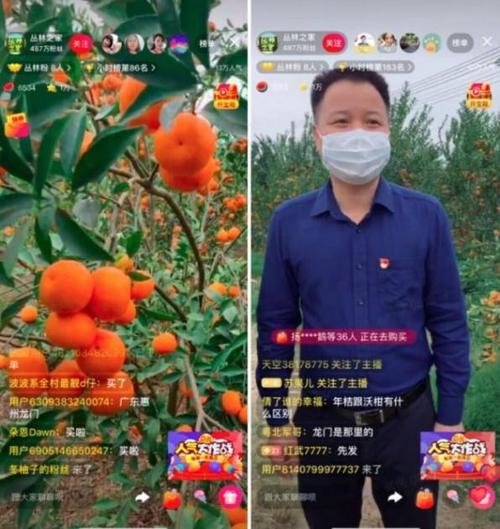 西瓜直播赚钱吗