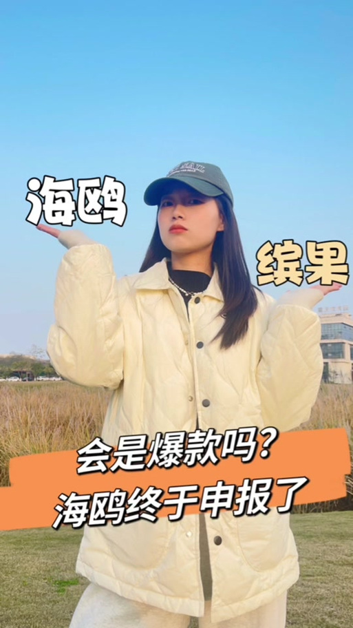 盲订和预售有什么区别
