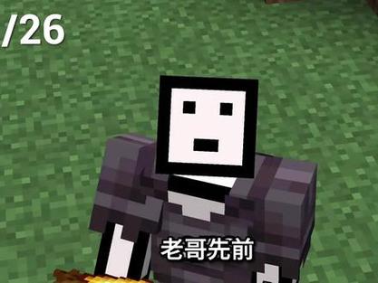 白皮肝帝看见末地真面目
