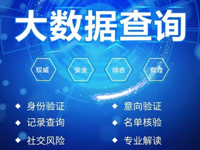 个人大数据报告查询图标