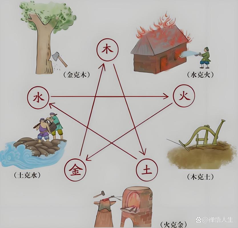 金木水火土正确位置图