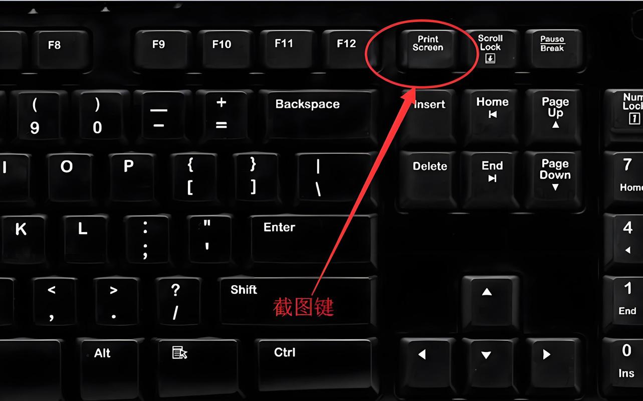 戴尔电脑截屏按什么键