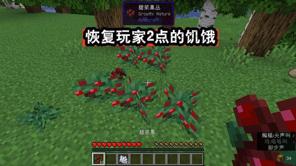 甜浆果在游戏中有什么用途?