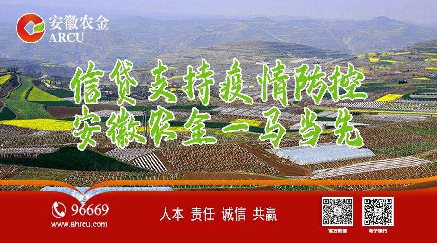 96669是安徽农金的电话吗