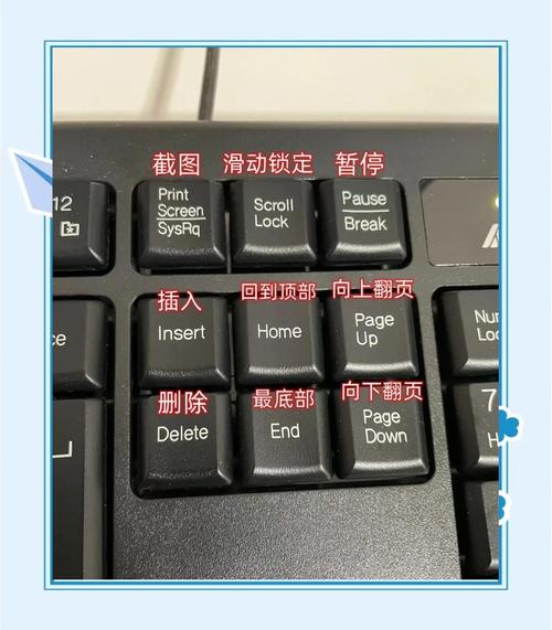 手机底部三个按键怎么调出来