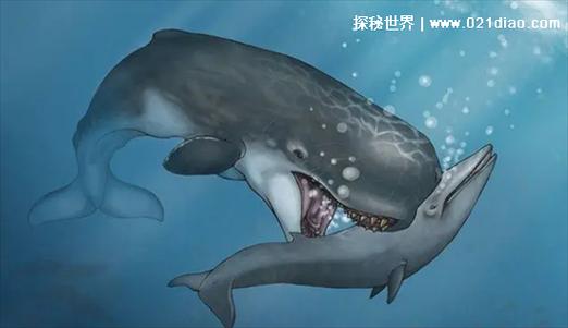 虎鲸vs巨齿鲨缩略图
