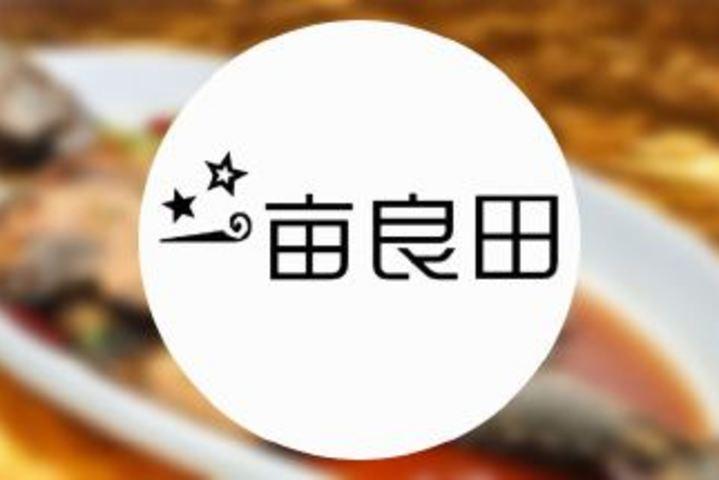 一亩良田是什么意思截图