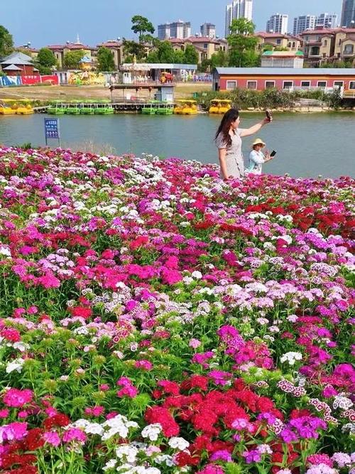 各种鲜花图片大全大图图标