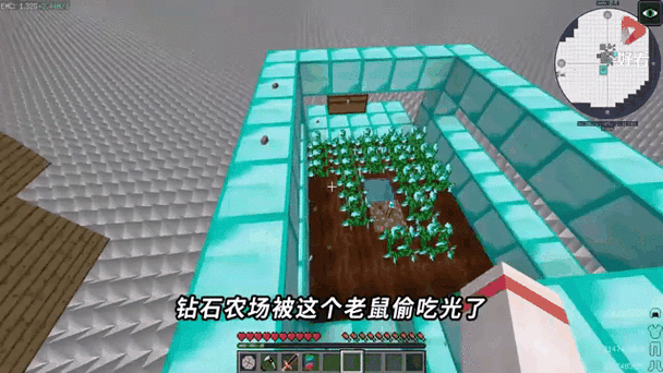 小杰我的世界地刺生存视频