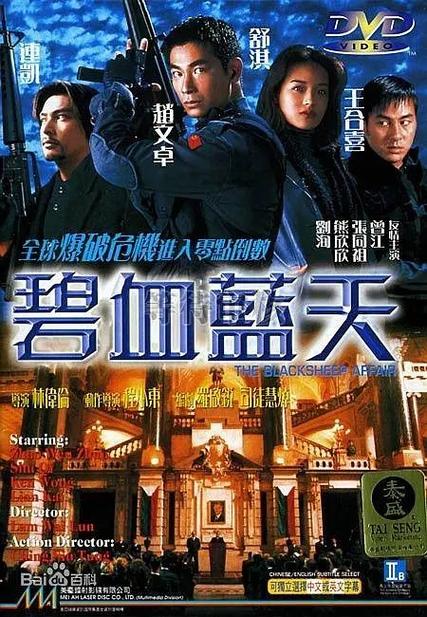 碧血蓝天赵文卓免费看