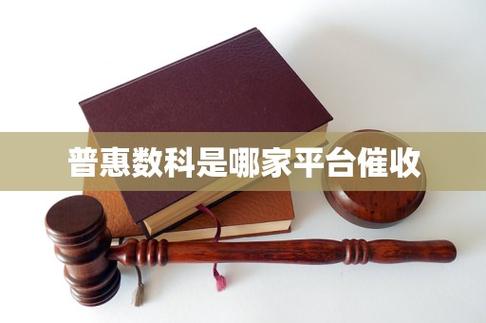 普惠数科是哪家平台催收图标