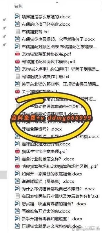 繁殖猫赚钱吗