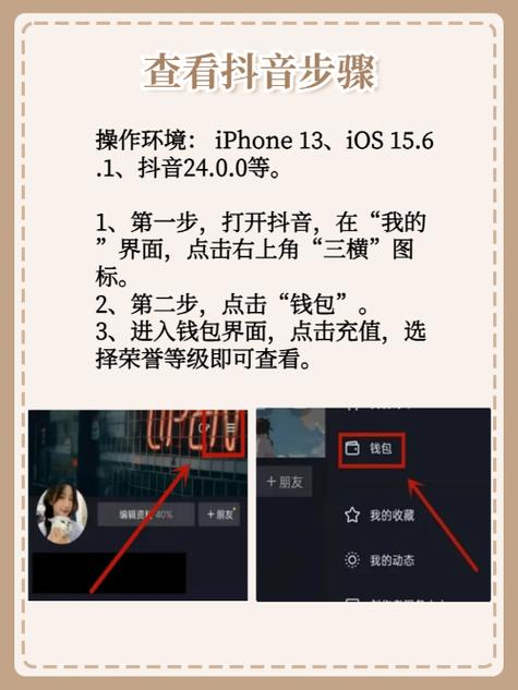 抖音在哪里看对方等级图标