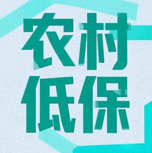 城市低保刷脸