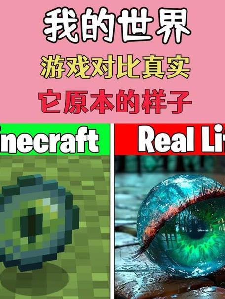 我的世界和真实世界