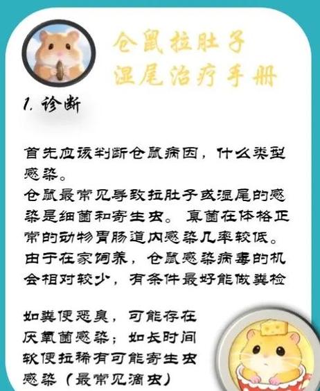 仓鼠湿尾症状照片