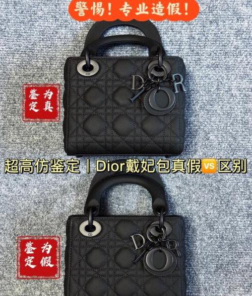 戴妃包是什么品牌的包包图标
