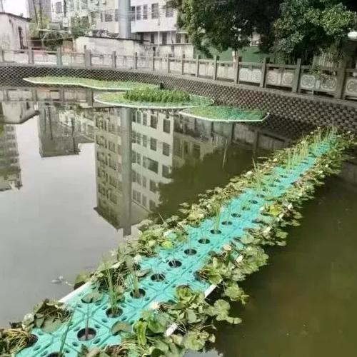 水上种植浮床多少一个平米截图