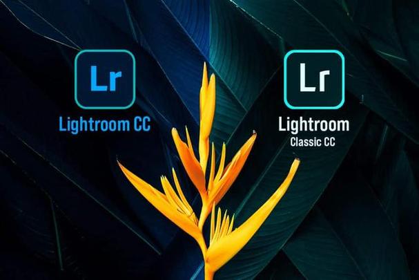lightroom免费安装图标