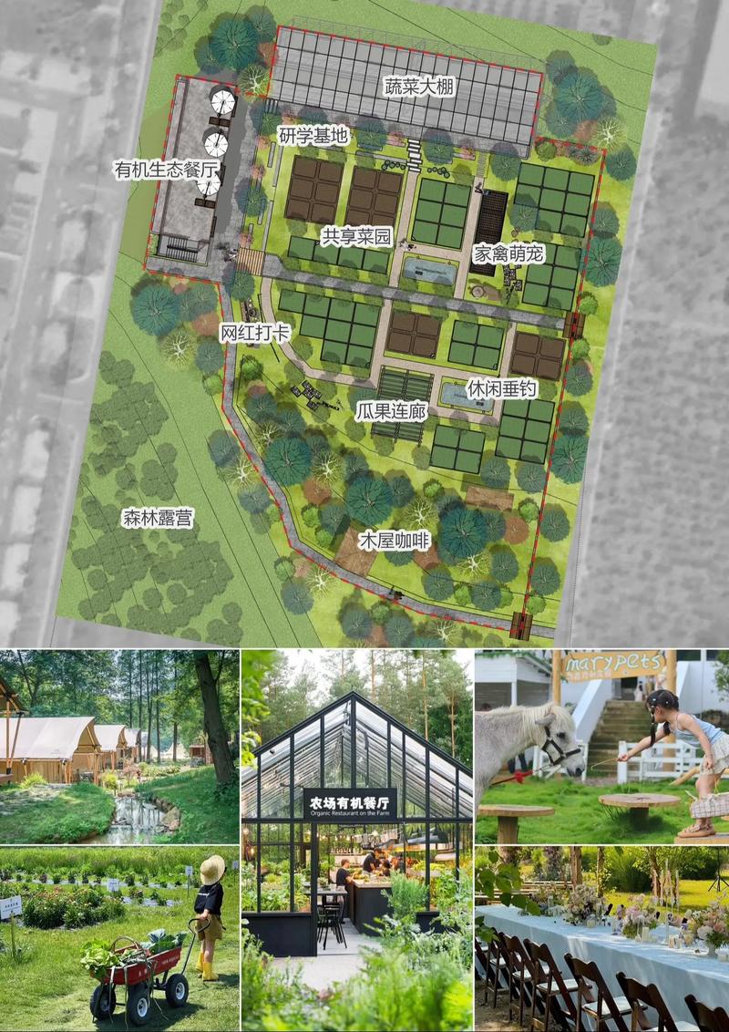 小型农场一般多少亩游戏截图