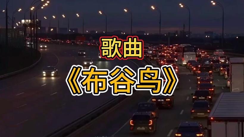 布谷视频图标