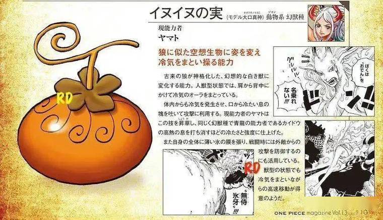 海贼王红发是什么果实图标
