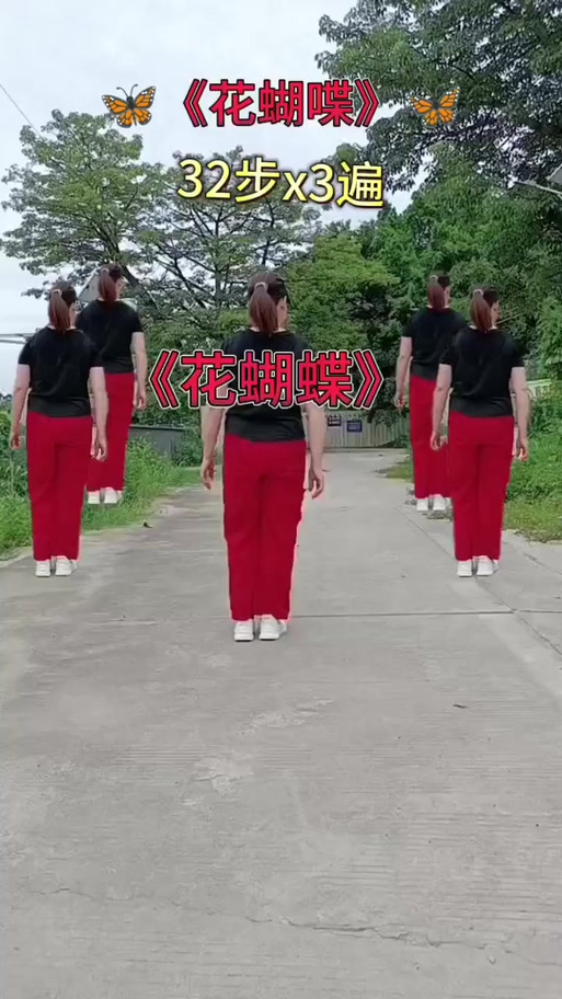 广场舞视频大全花蝴蝶缩略图