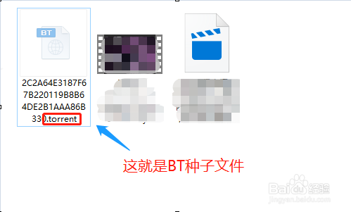 种子bt怎么解析