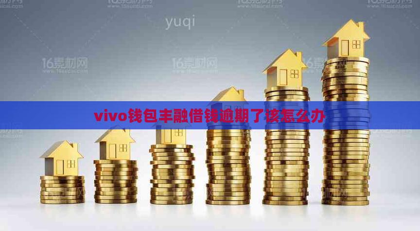 丰融借钱和vivo钱包是一家吗