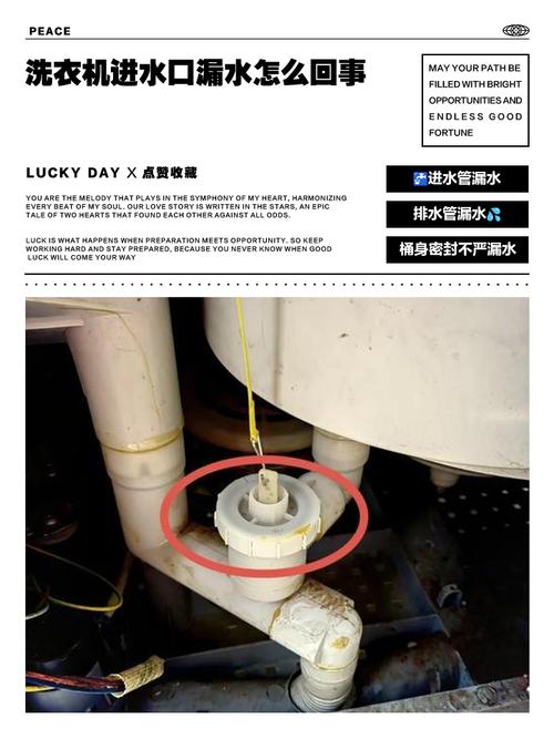 洗衣机进水阀漏水怎么办缩略图