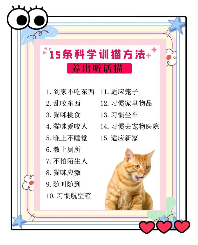 猫肉治病的6大功效