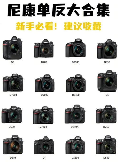 尼康最好的单反截图