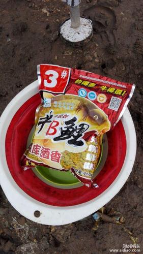 高钓坑收费3000
