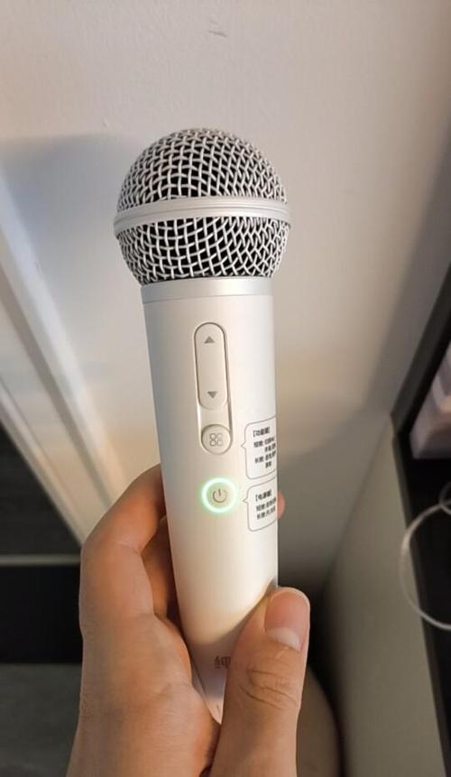 话筒不带音响可以用吗