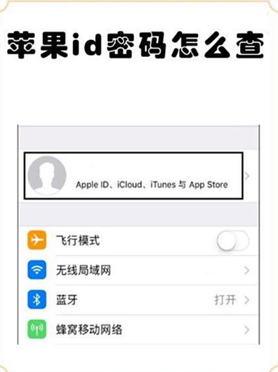 apple id在哪里查看