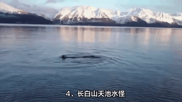 世上发生的奇异事件