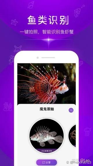 鱼类鉴别app