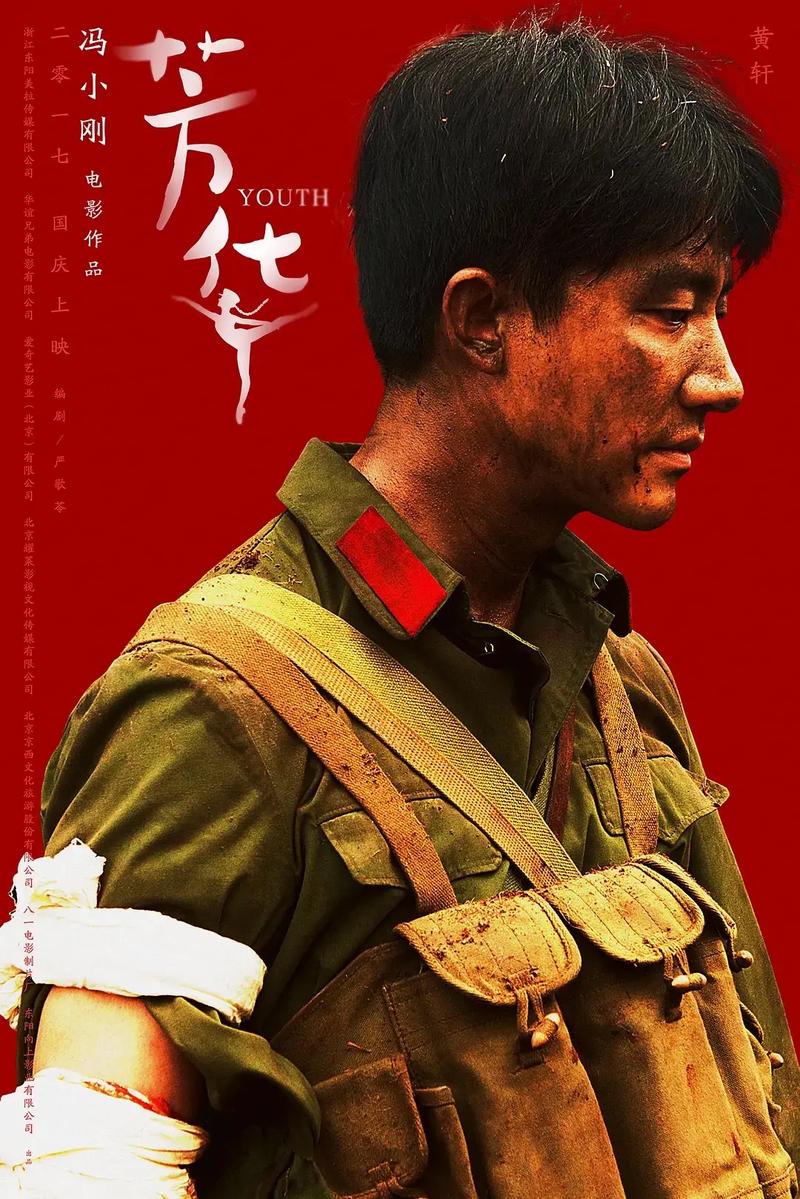 芳华高清电影免费观看正版截图
