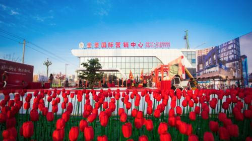 金圣国际游戏截图